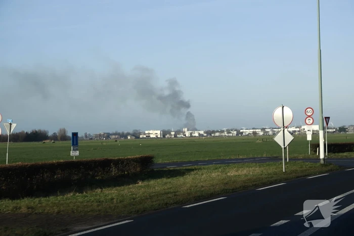 Dikke rookwolken door brand in coniferenhaag