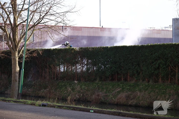 Dikke rookwolken door brand in coniferenhaag