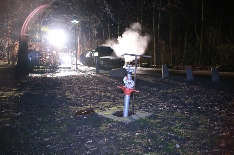 Auto fikt uit op vakantiepark De Eemhof