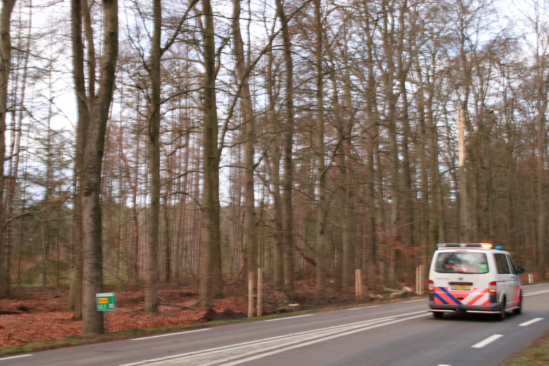 Verkeershinder door afgebroken stuk boom