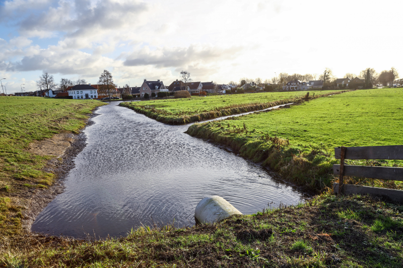 30 dode karpers uit vervuilde vijver gehaald gehaald