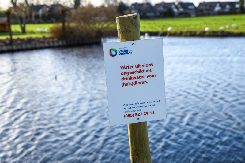 30 dode karpers uit vervuilde vijver gehaald gehaald