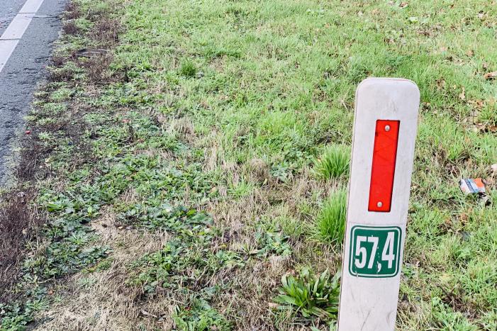 Auto belandtt in bosschages na aanrijding met vrachtwagen