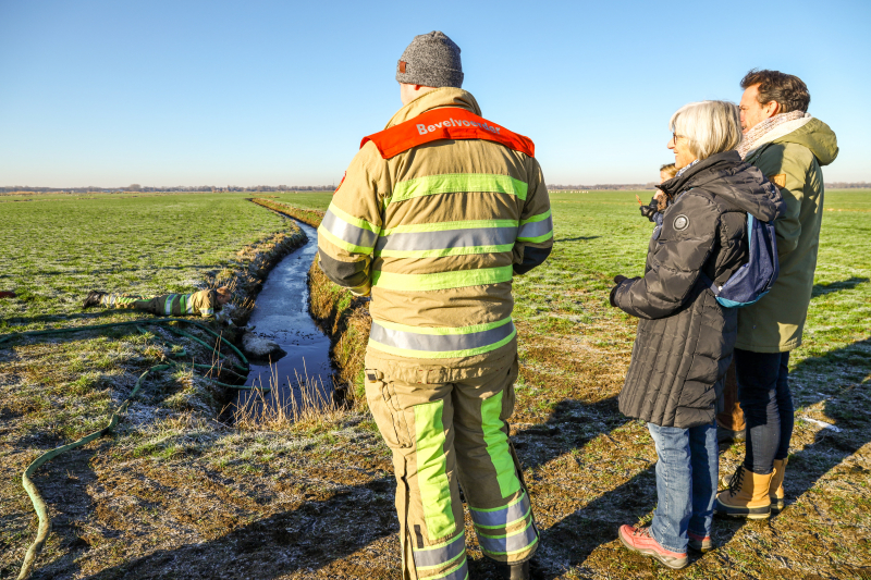 Wandelaars vinden bevroren schaap in sloot