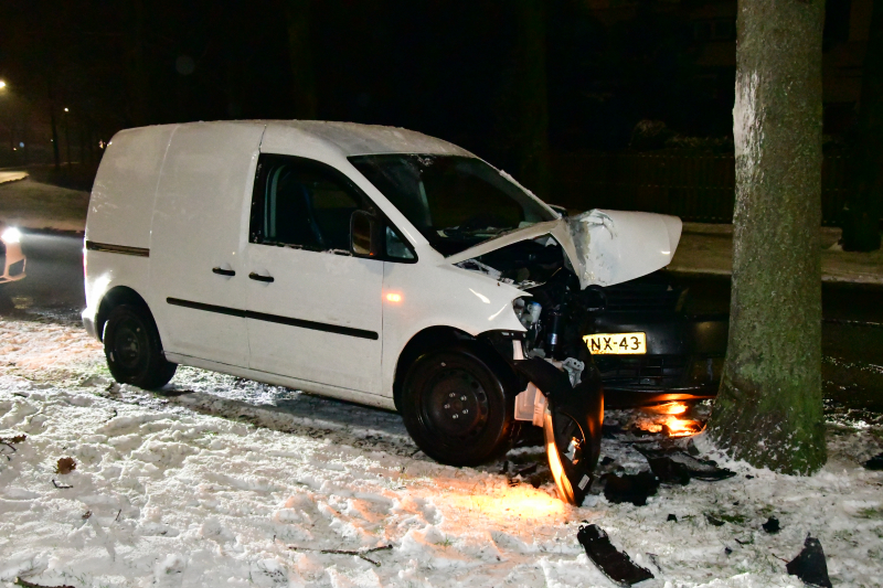 Bestelauto knalt op boom