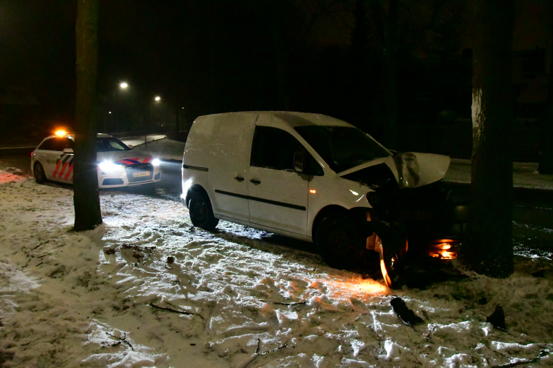 Bestelauto knalt op boom