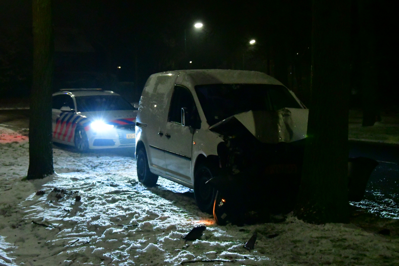 Bestelauto knalt op boom