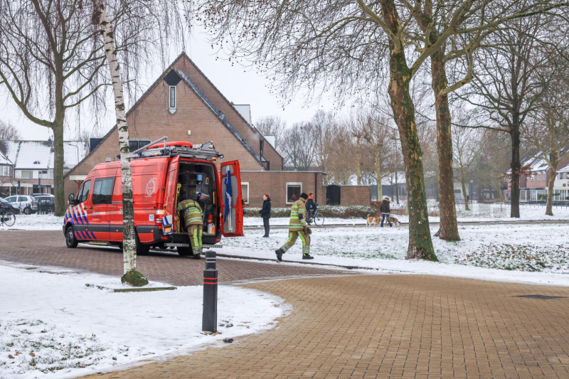 Meeuw vast in het ijs (Bunschoten-Spakenburg)