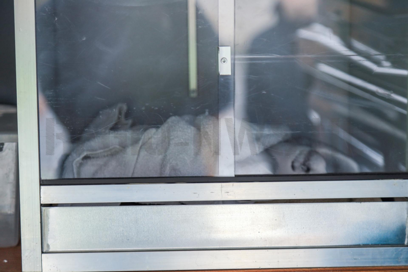 Meeuw vast in het ijs (Bunschoten-Spakenburg)