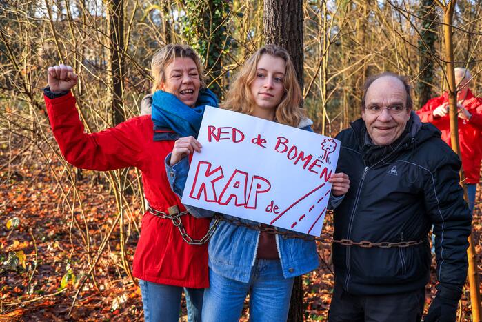 Bomenkap moment van de waarheid