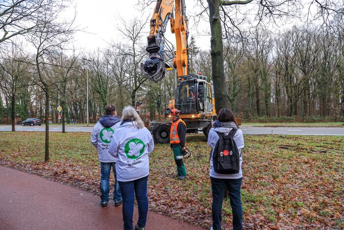 Bomenkap moment van de waarheid