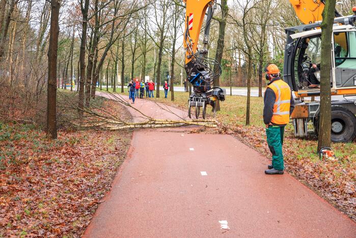Bomenkap moment van de waarheid