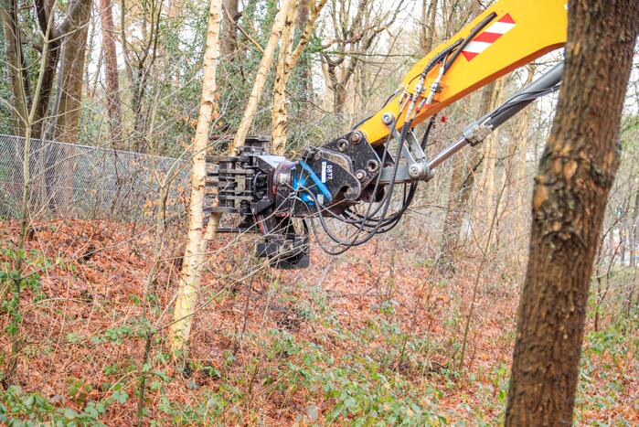 Bomenkap moment van de waarheid