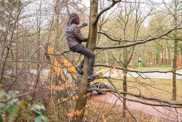 Bomenkap moment van de waarheid