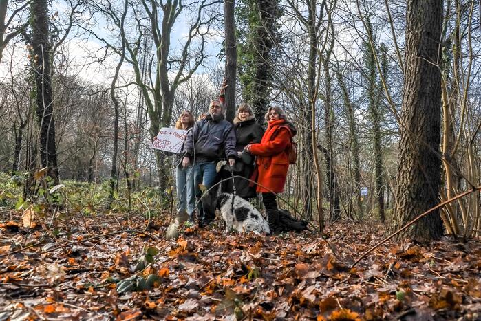 Bomenkap moment van de waarheid