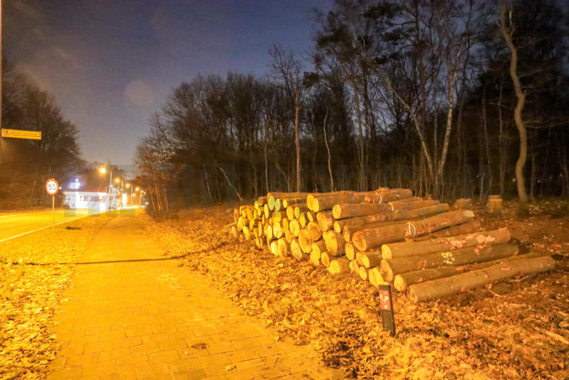 Wederom beveiliging van machines bomenkap Westelijke Ontsluiting (Amersfoort)