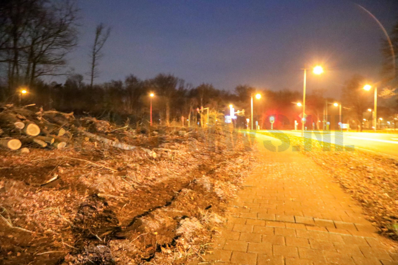 Wederom beveiliging van machines bomenkap Westelijke Ontsluiting (Amersfoort)