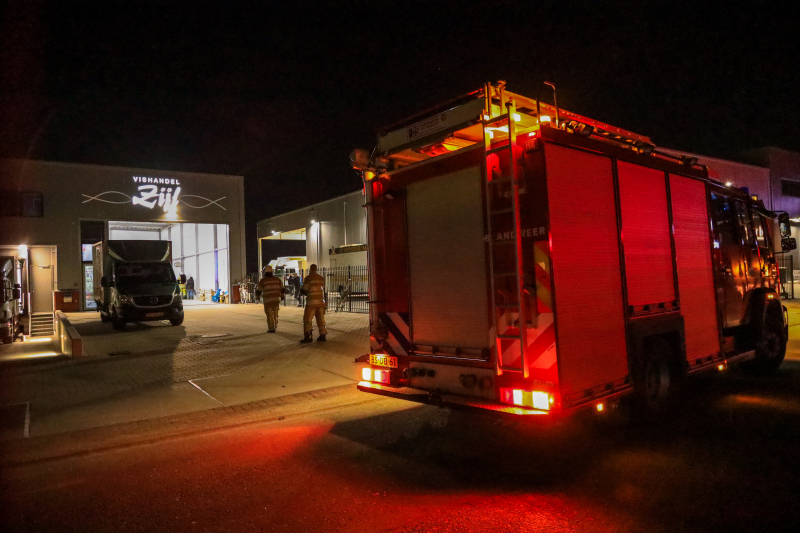 Marktviskar in loods vol rook