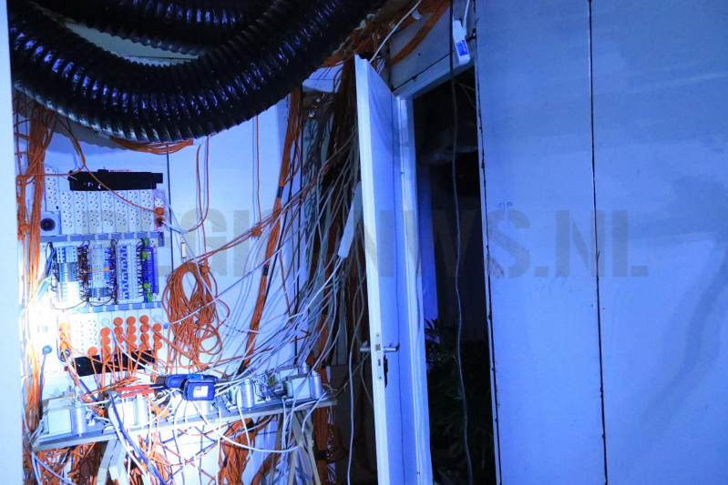 600 wietplanten gevonden in bedrijfspand (Bunschoten-Spakenburg)