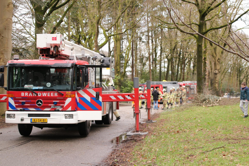 Hoogwerker weigert dienst om een grote boom met schade te vellen