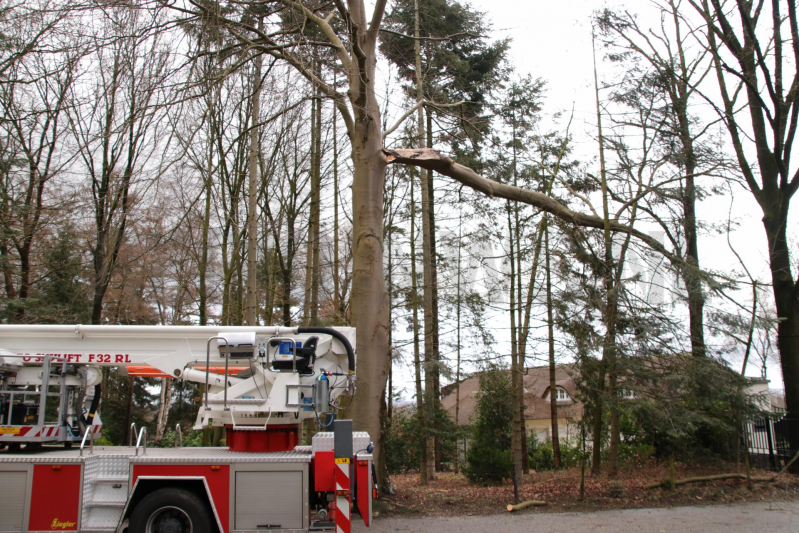 Hoogwerker weigert dienst om een grote boom met schade te vellen