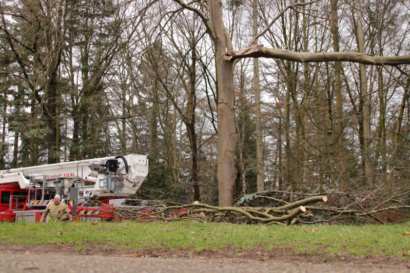 Hoogwerker weigert dienst om een grote boom met schade te vellen