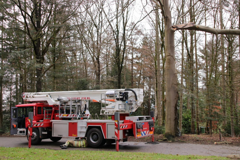 Hoogwerker weigert dienst om een grote boom met schade te vellen