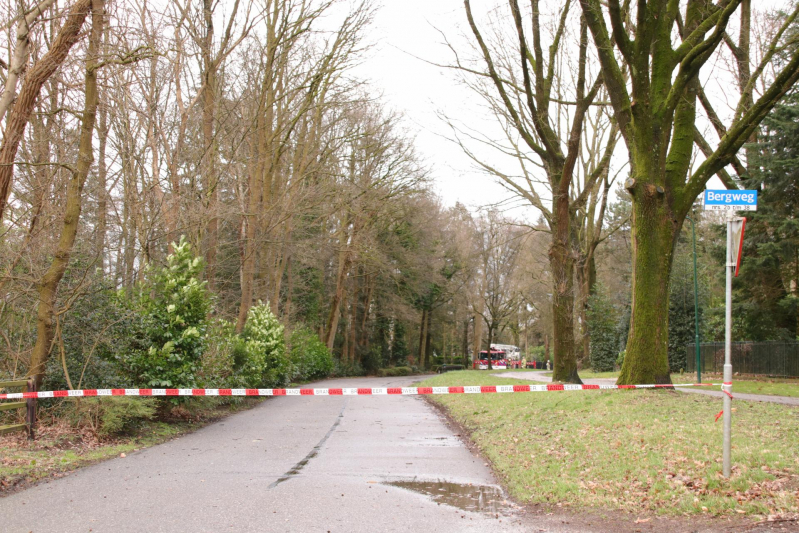 Hoogwerker weigert dienst om een grote boom met schade te vellen