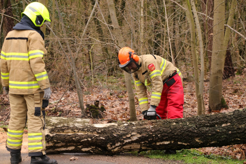 Omgewaaide boom blokkeert weg