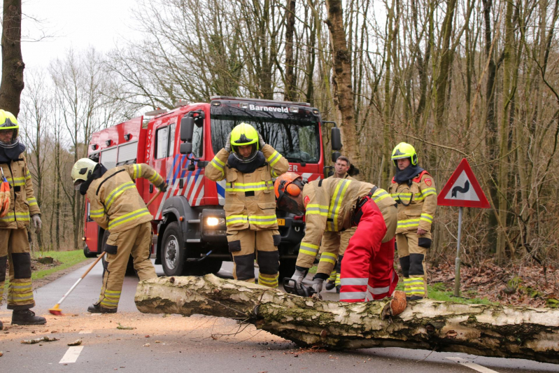 Omgewaaide boom blokkeert weg