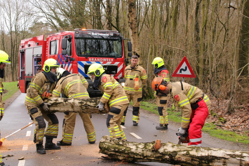 Omgewaaide boom blokkeert weg