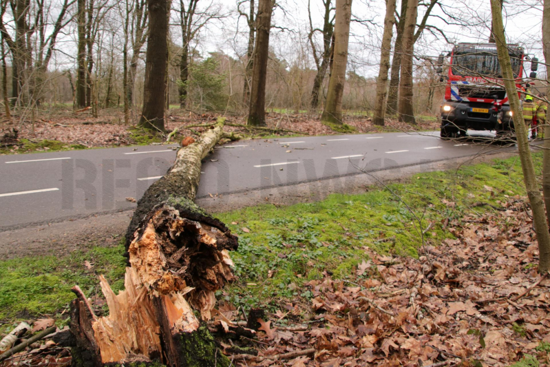 Omgewaaide boom blokkeert weg