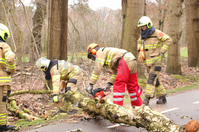Omgewaaide boom blokkeert weg