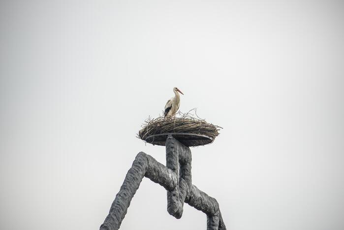 Ooiervaars werken weer aan uitbreiding op kunstwerk Uiverhoeve