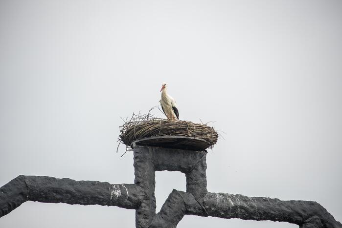 Ooiervaars werken weer aan uitbreiding op kunstwerk Uiverhoeve