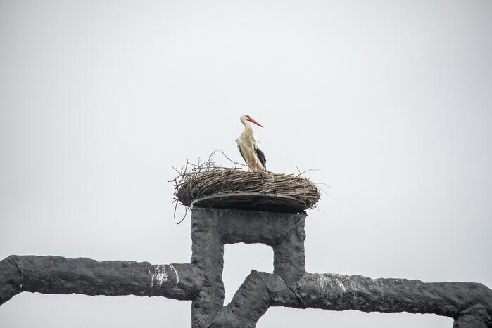Ooiervaars werken weer aan uitbreiding op kunstwerk Uiverhoeve