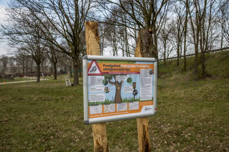 Wethouder opent proefgebied biologische bestrijding eikenprocessierups