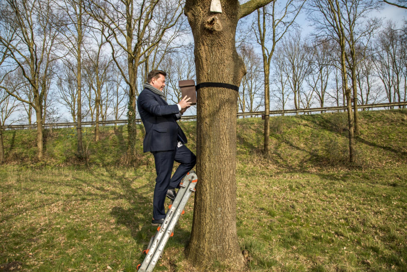 Wethouder opent proefgebied biologische bestrijding eikenprocessierups