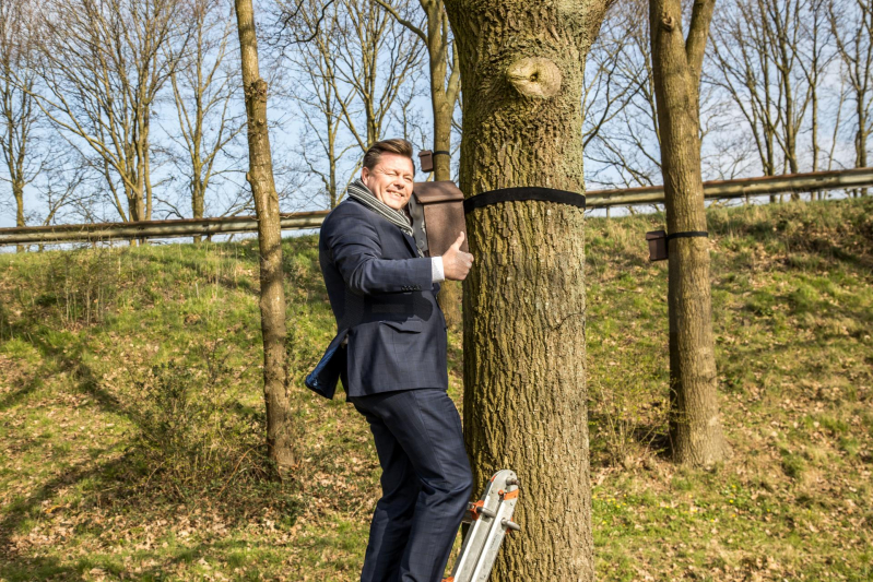 Wethouder opent proefgebied biologische bestrijding eikenprocessierups