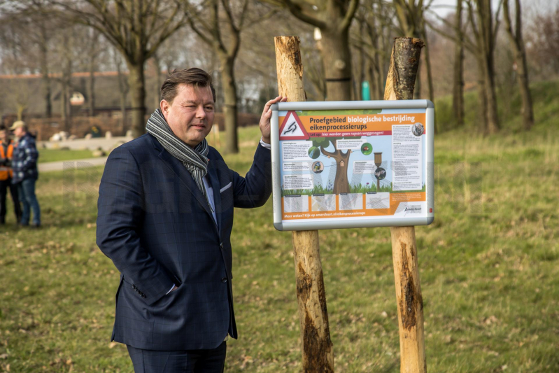 Wethouder opent proefgebied biologische bestrijding eikenprocessierups