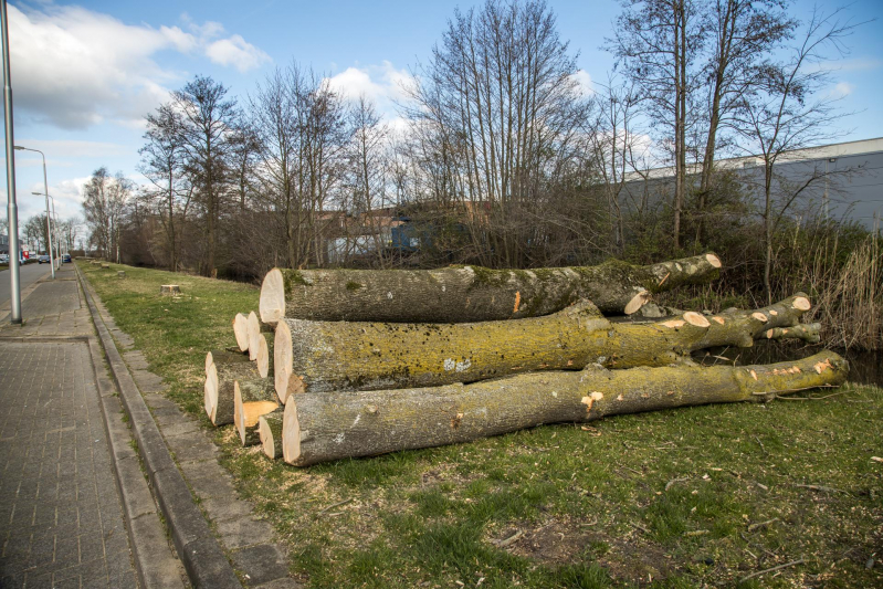 Fluorweg kaal gekapt