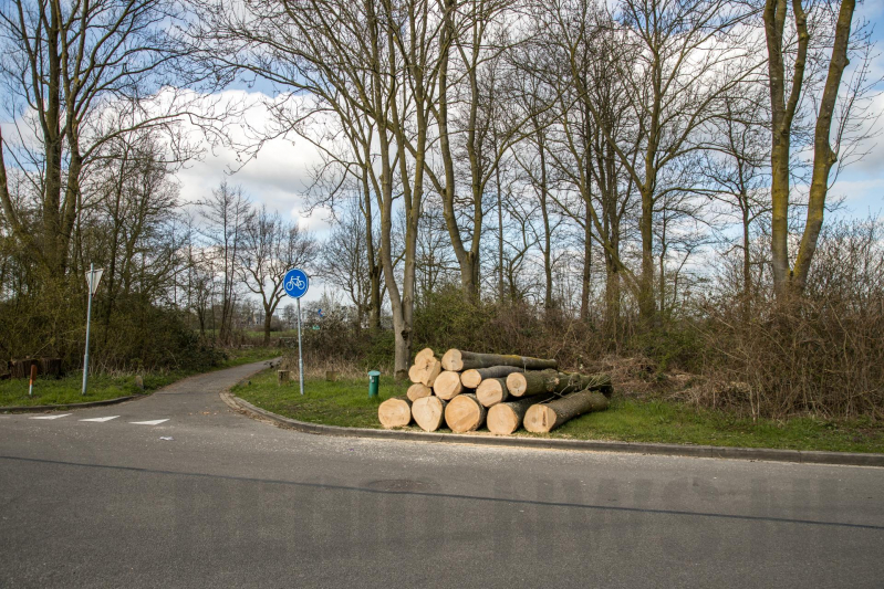 Fluorweg kaal gekapt