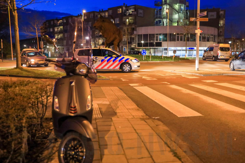 Overstekende scooterrijder gewond na botsing met auto