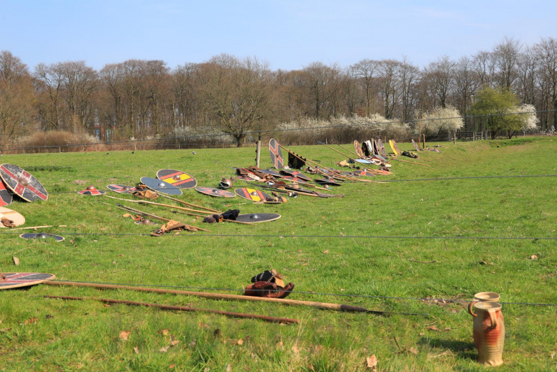 80 Europese Viking-strijders oefenen het zwaardvechten