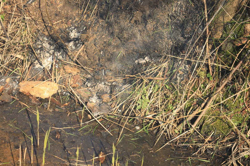 Jongeman gewond bij bermbrand