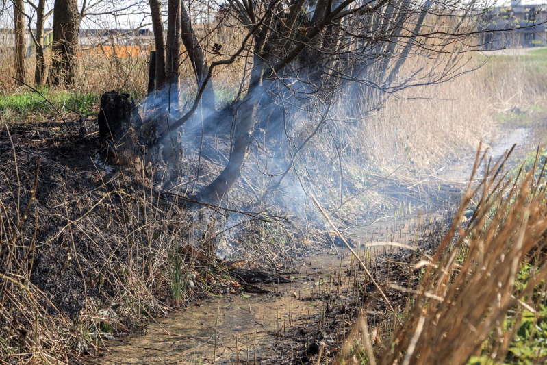 Jongeman gewond bij bermbrand