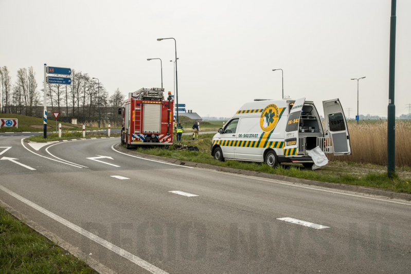 Aangereden zwaan laat zich niet vangen, Bunschoterstraat