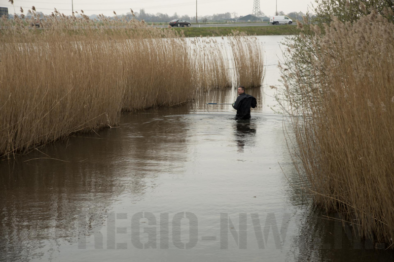 Aangereden zwaan laat zich niet vangen, Bunschoterstraat