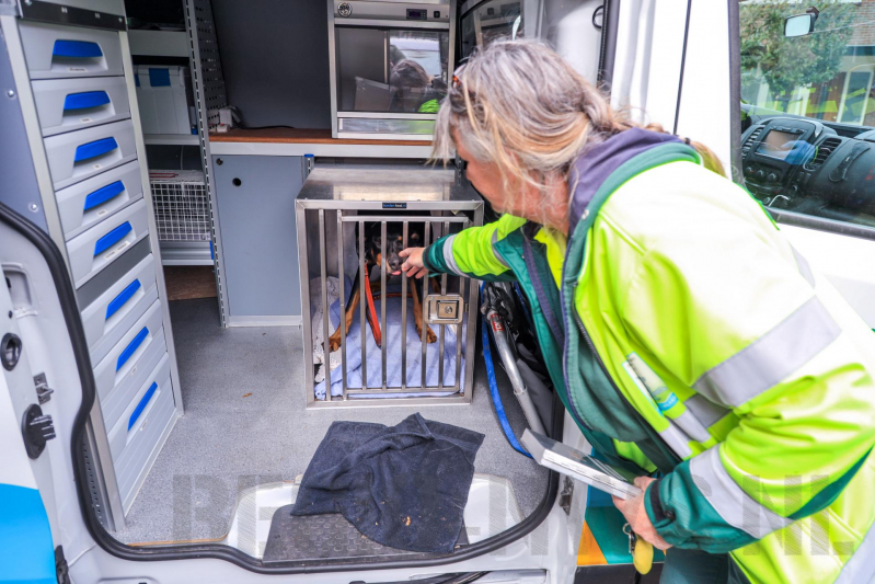 Arrestatie bij inval in woning; meerdere voertuigen in beslag genomen