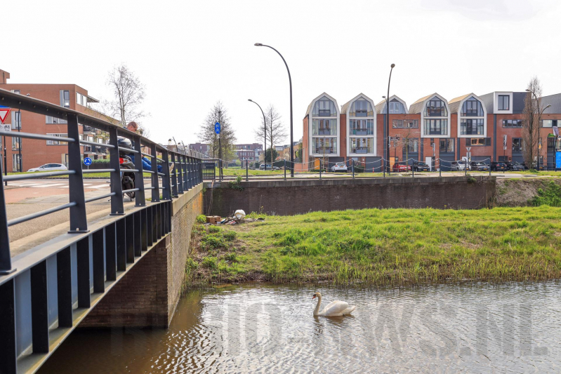 Broedende zwaan bekogeld